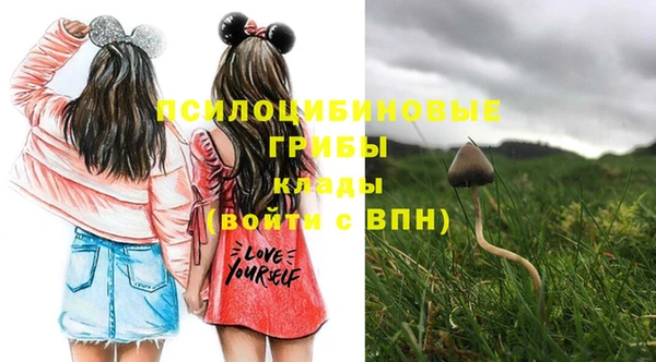 МДПВ Абдулино