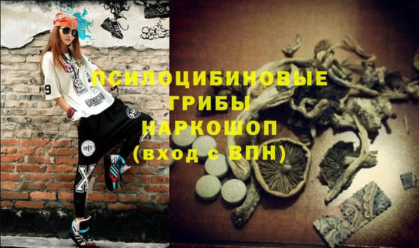 МДПВ Абдулино