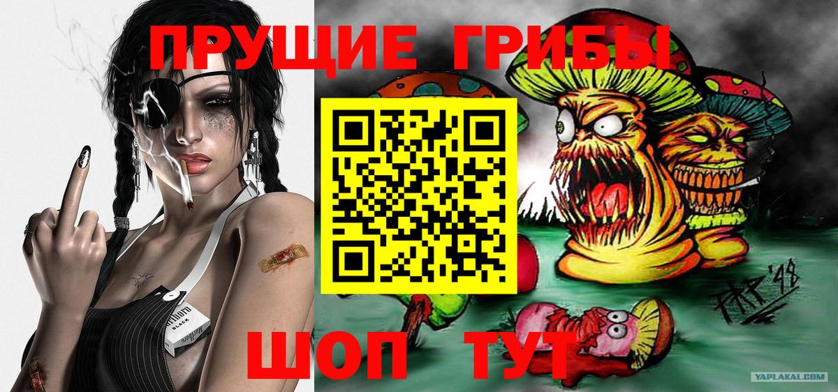 Псилоцибиновые грибы Magic Shrooms  Вход с VPN  Псилоцибиновые грибы Psilocybine cubensis  Серпухов 