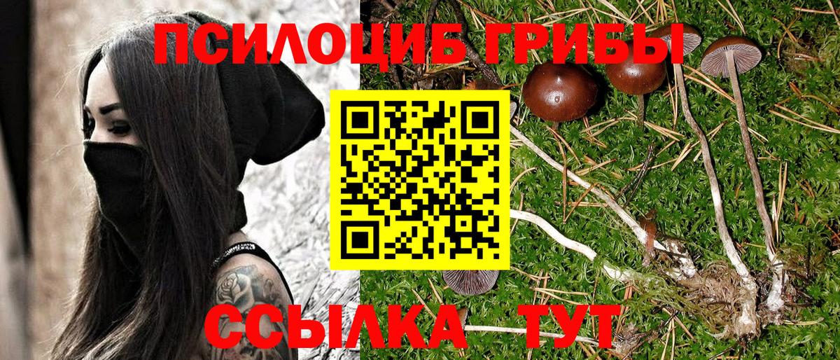 Псилоцибиновые грибы ЛСД Серпухов